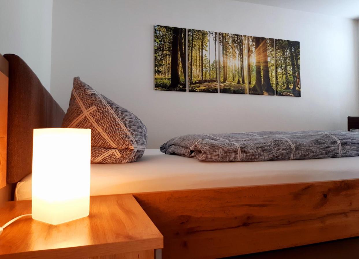 Stadtoase Geraeumige Gaestewohnungen Mit Balkon, Komfort, Modernitaet Und Ruhe, Fuer Monteure Geeignet, Free Wifi Франкенберг Экстерьер фото